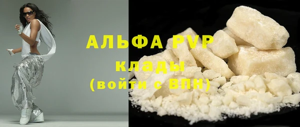 PSILOCYBIN Зеленодольск