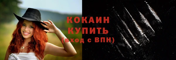 метадон Инта