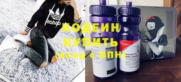 метадон Инта