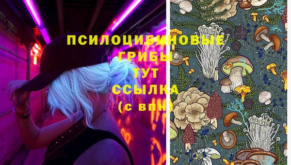 метадон Инта