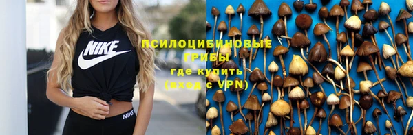 PSILOCYBIN Зеленодольск