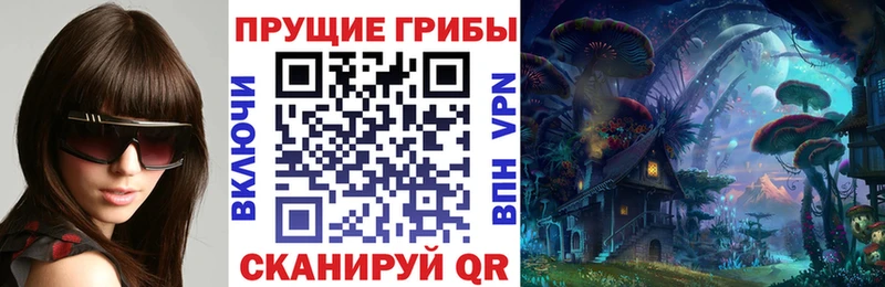 Галлюциногенные грибы Psilocybine cubensis  Купить закладки  Горячий Ключ 